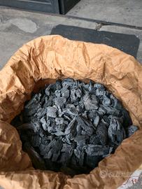 Carbonella per barbecue 