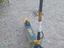 Immagine 6