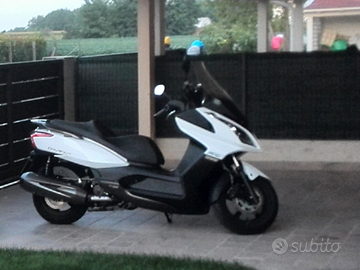 Prezzo bomba Kimco dawtaun 300 i