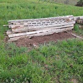 Pali in cemento per frutteto 