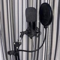 M-Audio M-Track Duo & Neewer  NW-800