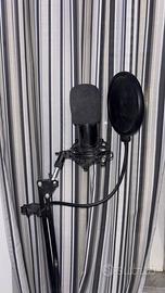 M-Audio M-Track Duo & Neewer  NW-800