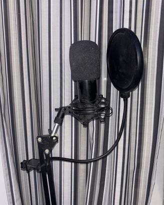 M-Audio M-Track Duo & Neewer  NW-800