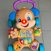 Cagnolino primi passi