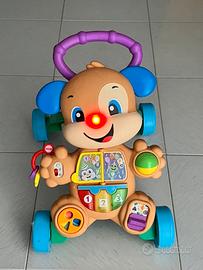 Cagnolino primi passi