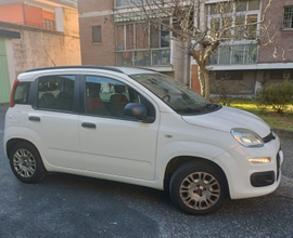 Fiat Panda 1.2 69cv UNICOPROPRIETARIO