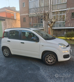 Fiat Panda 1.2 69cv UNICOPROPRIETARIO