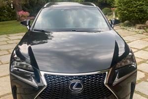 Lexus modello NX300H full hybrid F-Sport