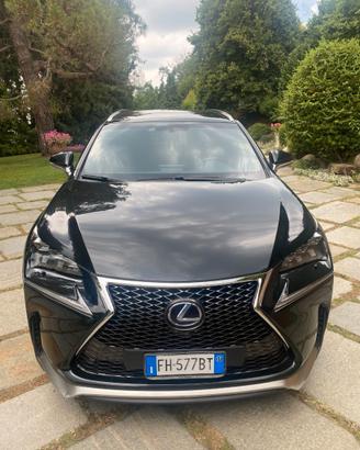 Lexus modello NX300H full hybrid F-Sport