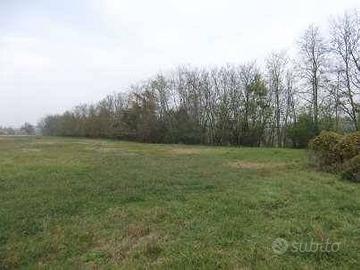 Immobile in asta di 7222 m² a Rivanazzano Terme