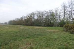 Immobile in asta di 7222 m² a Rivanazzano Terme