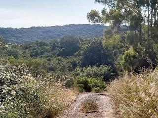 Terreno agricolo Belvedere