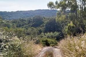 Terreno agricolo Belvedere