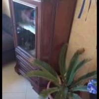 Vetrina vintage anni 60/70