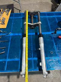 Forcella bonazzi e gambetta