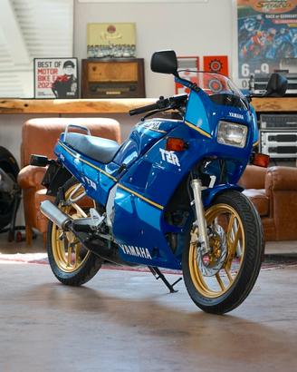 Yamaha TZR 125 FMI 1989