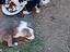 Immagine 4
