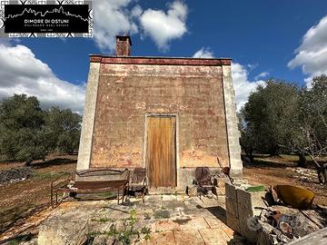 LAMIA "PITAGORA" con ULIVETO 15400mq - CEGLIE