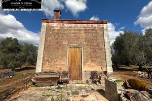 LAMIA "PITAGORA" con ULIVETO 15400mq - CEGLIE