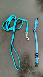  Guinzaglio + Collare “PET Around You” – Taglia S 