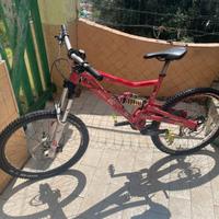 Bici enduro mtb