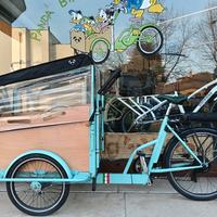 Cargo Bike Panda Bike ELETTRICA 