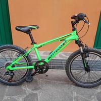 Bicicletta Bambino 20 pollici marca Bottecchia