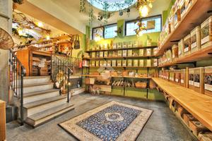 ATTIVITÀ A VERCELLI