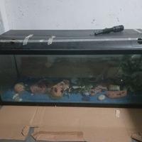 acquario 200l