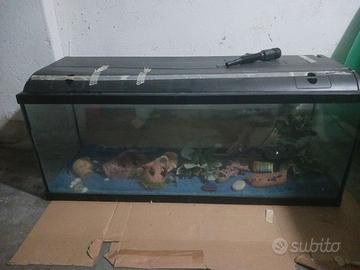 acquario 200l