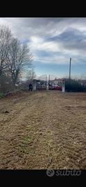 Terreno agricolo