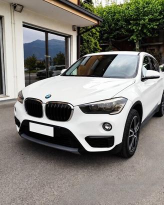 BMW X1 (F48) X1 sDrive18d Business