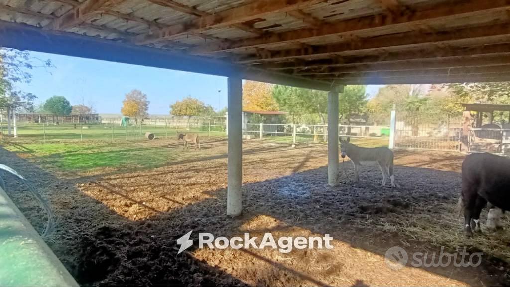 Terreno di 7500 m² a Suardi - Vista 2