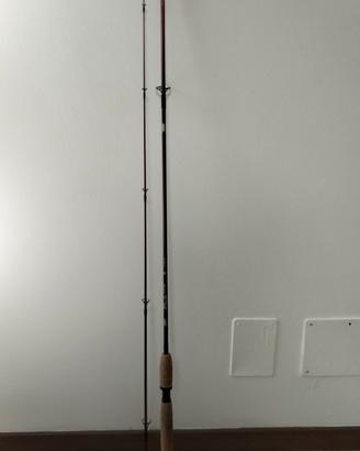 canna da pesca spinning