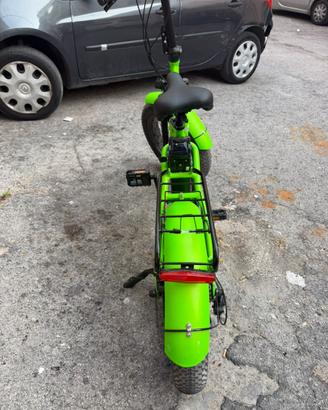 Bicicletta Elettrica