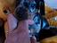 Immagine 2