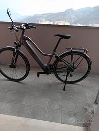 bicicletta
