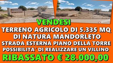 Terreno, possibilità di realizzare un Villino