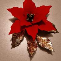 Capodimonte stella di natale 