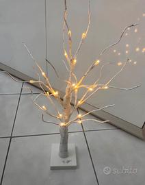 Albero di betulla luminoso nuovo