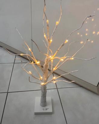 Albero di betulla luminoso nuovo
