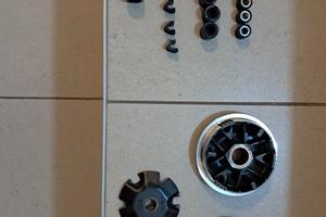 variatore malossi multivar mhr 