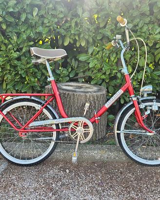 Bicicletta pieghevole Leoncino