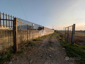 TERRENO A MADDALONI