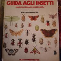 Guida agli insetti Gabriele pozzi