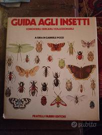 Guida agli insetti Gabriele pozzi
