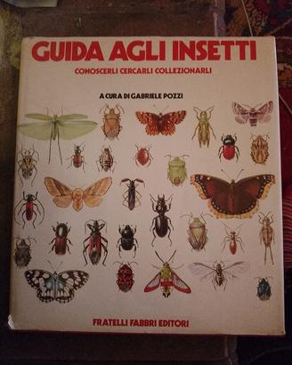Guida agli insetti Gabriele pozzi