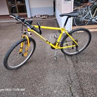 mtb diamond back