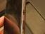 Immagine 6