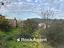 Immagine 16